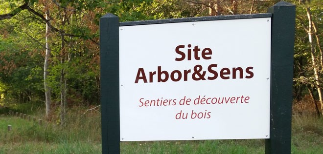 Arboretum de Fontainebleau - Arbo&Sens