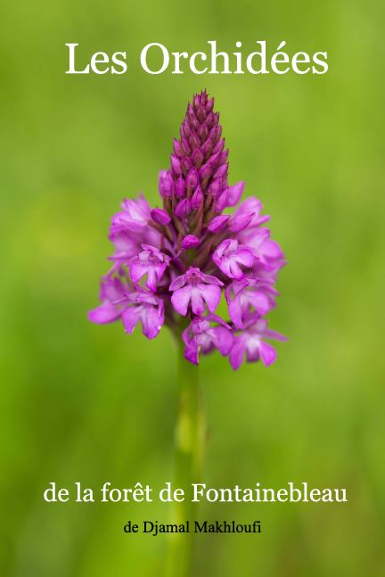 eBook sur les Orchidées sauvages de la forêt de Fontainebleau