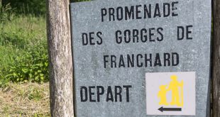 Départ randonnée gorges de Franchard - Forêt de Fontainebleau