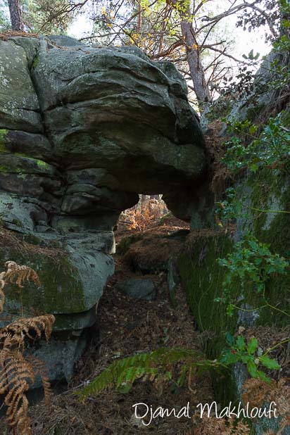 Arche de grès - La Roche qui parle (forêt de Fontainebleau) - Balade insolite