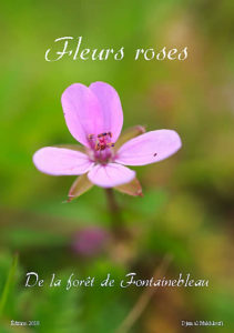 eBook fleurs roses sauvages