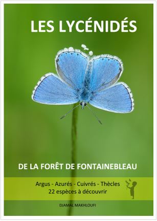 Guide des Lycénidés de la forêt de Fontainebleau