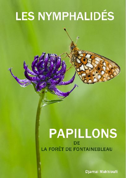 eBook - Nymphalidés de la forêt de Fontainebleau