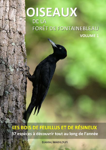 eBook Oiseaux des bois - Forêt Fontainebleau
