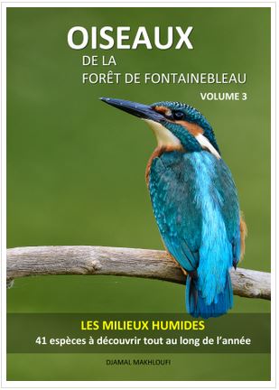 Oiseaux des milieux humides - Forêt de Fontainebleau