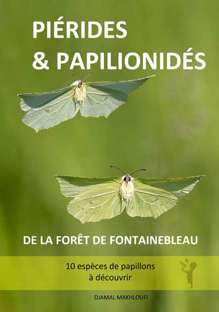 ebook Piérides et Papilionidés de la forêt de Fontainebleau