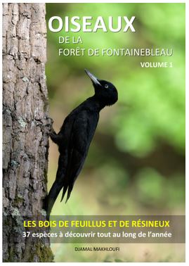 Livre Oiseaux des bois et forêt de Fontainebleau - Djamal Makhloufi
