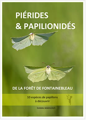 eBook Piérides et Papilionidés de la forêt de Fontainebleau