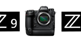 Avis Nikon Z9 - Mes premières impressions