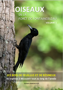 Livre des oiseaux des bois - Forêt de Fontainebleau Volume 1 - Djamal Makhloufi
