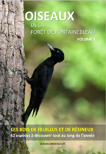 ebook oiseaux des bois forêt de Fontainebleau - Volume 1