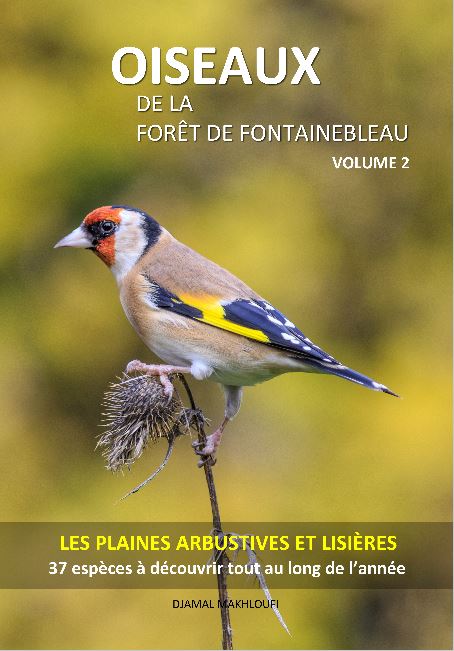 oiseaux des milieux ouverts de la forêt de Fontainebleau - Volume 2