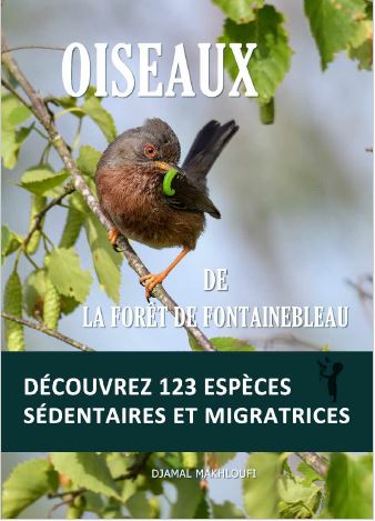 ebook 123 espèces d'oiseaux de la forêt de Fontainebleau