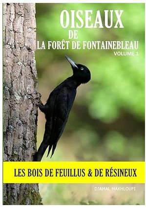 Livre oiseaux des bois - forêt de Fontainebleau - Vol.1