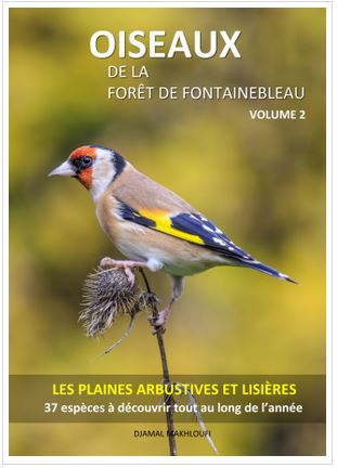 Oiseaux des plaines arbustives et milieux ouverts - Forêt de Fontainebleau Vol.2